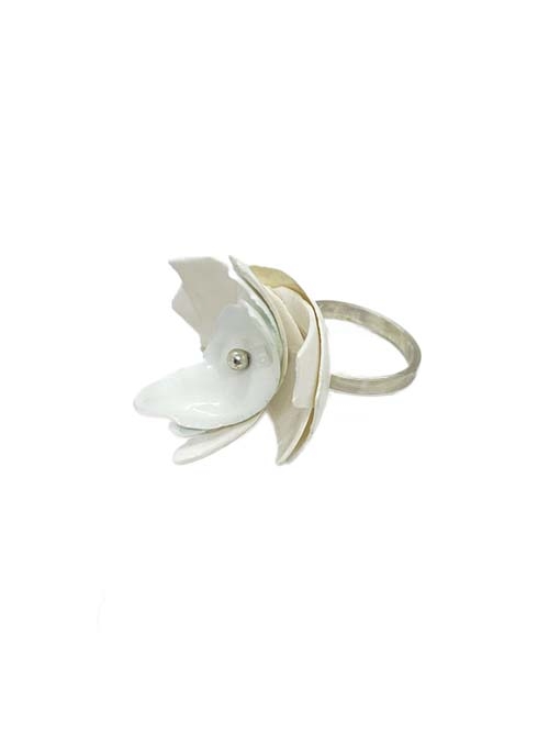 Anillo