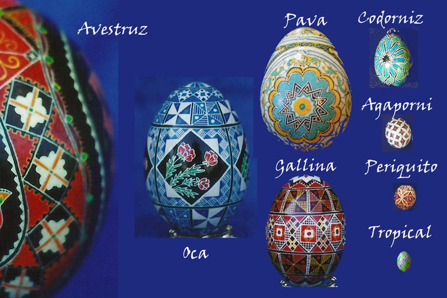 Comparativa-huevos